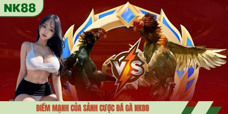 Điểm mạnh của sảnh cược đá gà NK88