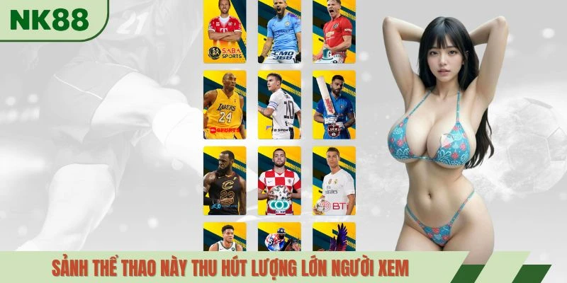 Sảnh thể thao này thu hút lượng lớn người xem