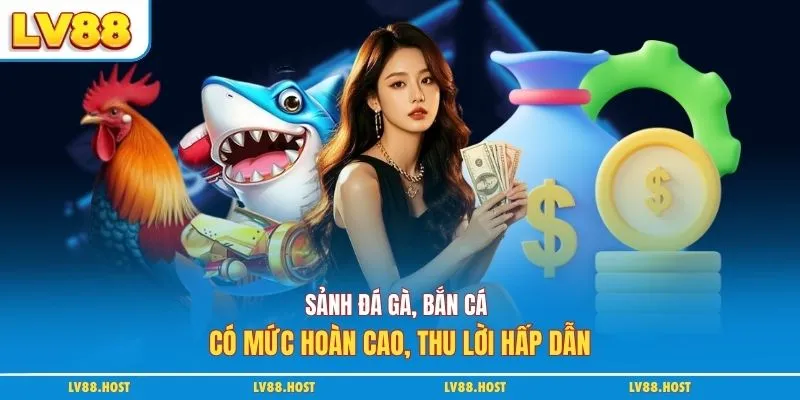 Sảnh đá gà, bắn cá có mức hoàn cao, thu lời hấp dẫn