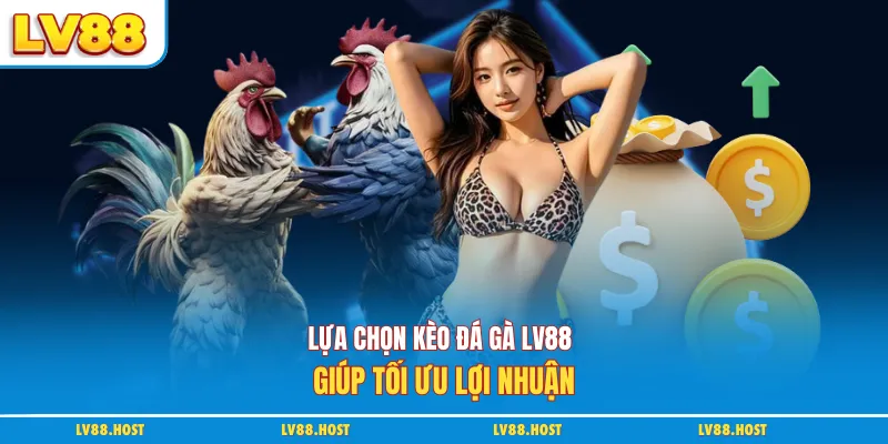 Lựa chọn kèo đá gà LV88 giúp tối ưu lợi nhuận