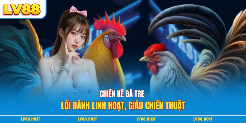 Chiến kê gà tre lối đánh linh hoạt, giàu chiến thuật