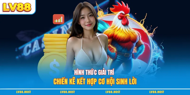 Hình thức giải trí chiến kê kết hợp cơ hội sinh lời