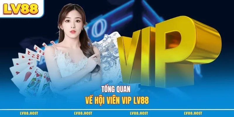 Tổng quan về hội viên VIP LV88