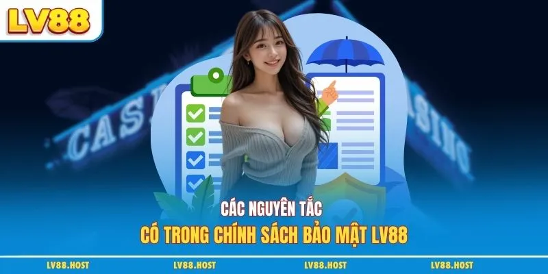 Các nguyên tắc có trong chính sách bảo mật LV88